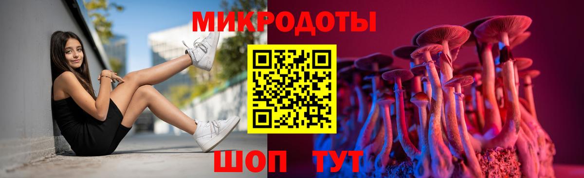 Псилоцибиновые грибы GOLDEN TEACHER  Вход с VPN  Костомукша 